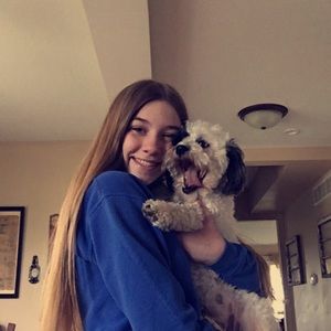 Meet your Posher, Avian